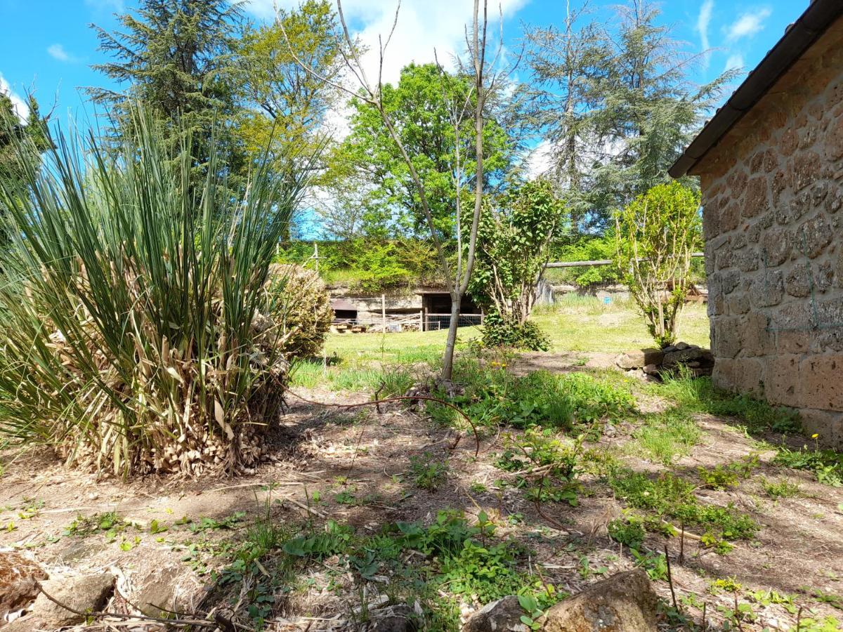 Il Sentiero Villa Acquapendente Buitenkant foto